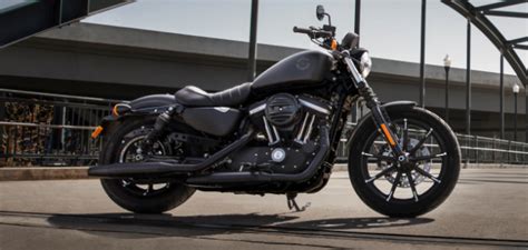 Harleys 338 Cc Affordable Bikes Will Give A Tough Fight To Royal