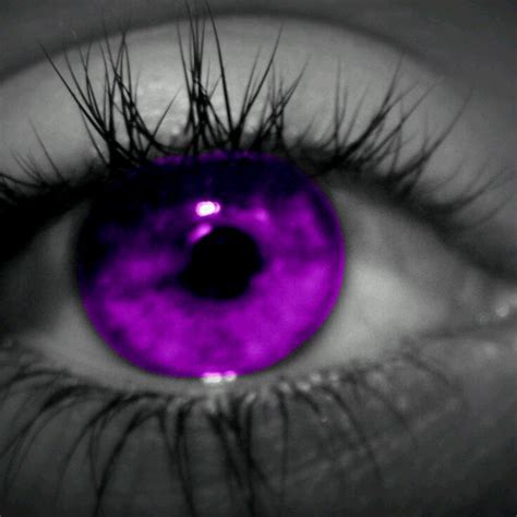 Purple Girls Purple Love All Things Purple Purple Eyes Purple Rain