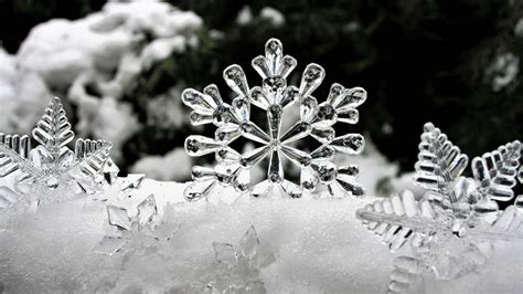 雪花 星星 冬天 Pixabay上的免费照片 Pixabay