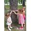 Outdoor Play For Kids  3 Tree Themed Activities