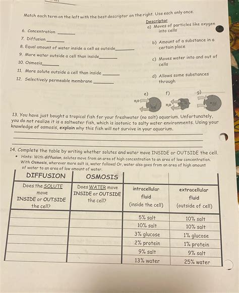 [Solved] Match each term on the left with the best descriptor on the