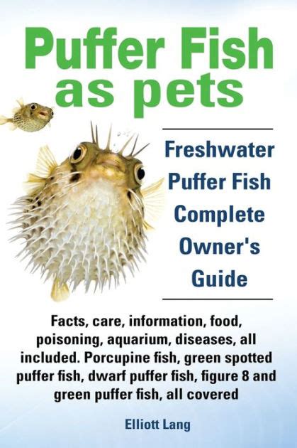 Puffer Fish As Pets Freshwater Puffer Fish Facts Care Information