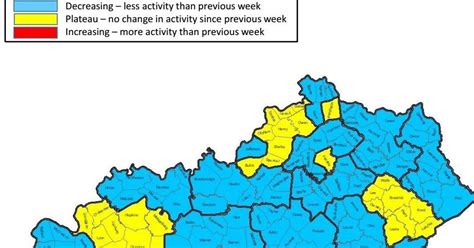 Decrease In Flu Cases In Kentucky Over Past Month News