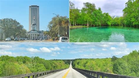 Tallahassee To Orlando Drive Views 🌞 Nature Stops Along The Way 🌞 Florida Road Trip