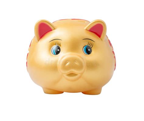 Gold Piggy Bank Front View Isolated On White Stock Image Image Of