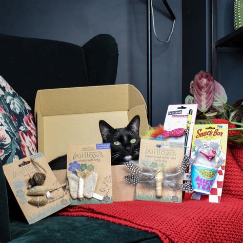 Toy Box Luxury Cat Hamper By Boop And Floof
