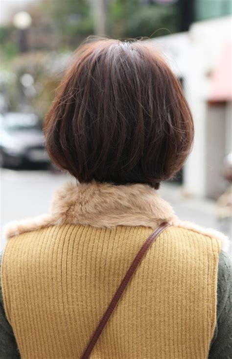 Back View Of Cute Asian Bob Hairstyle