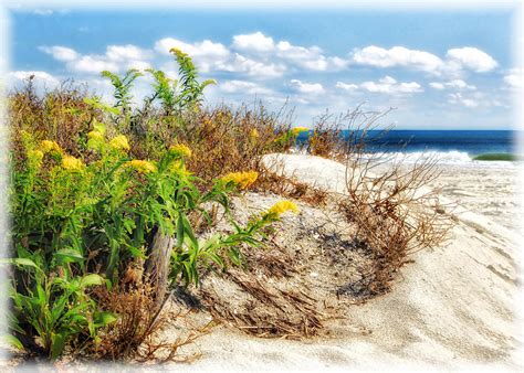 Behind The Dunes Photograph By Carolyn Derstine Pixels
