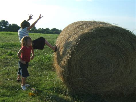 Give It A Kick Girls Trying To Roll A Hay Bale Quite Fun Richard