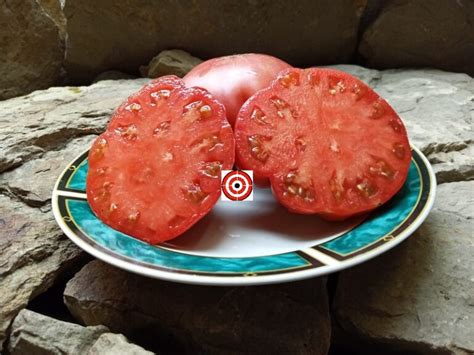 Butler Skinner Tomato Bounty Hunter Seeds Rare Heirloom Seeds