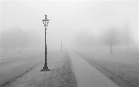 Free Images Tree Snow Black And White Fog Mist Morning Sidewalk