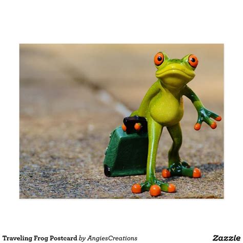 Traveling Frog Postcard In 2021 Funny Frogs Funny