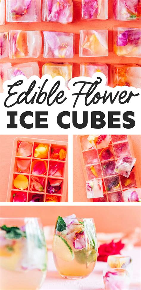 How To Make Edible Flower Ice Cubes Live Eat Learn