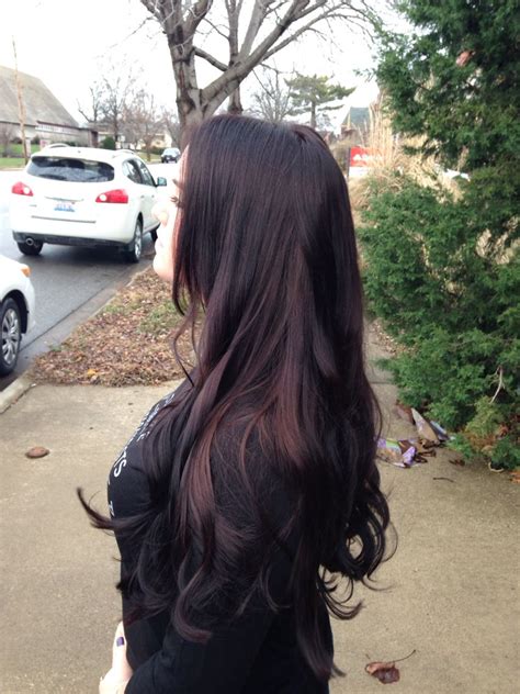 Black Cherry … | Hair, Hair color for black hair, Black ...