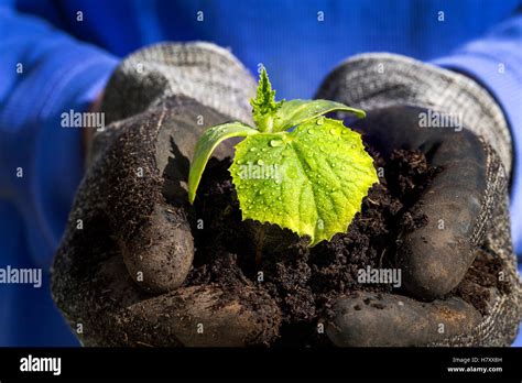 Mound Of Soil Hi Res Stock Photography And Images Alamy