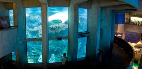 Top 10 Largest And Most Astonishing Aquariums In The World New