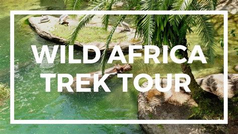 Disney World Wild Africa Trek Tour Youtube