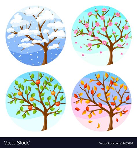 Four Seasons Tree And Landscape Royalty Free Vector Image