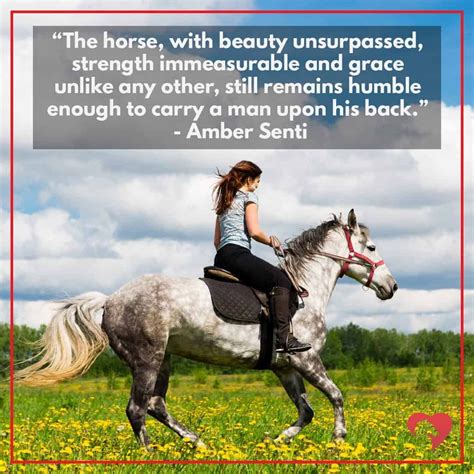 15 Greatest Quotes About Horses Of All Time Horses Horse Quotes