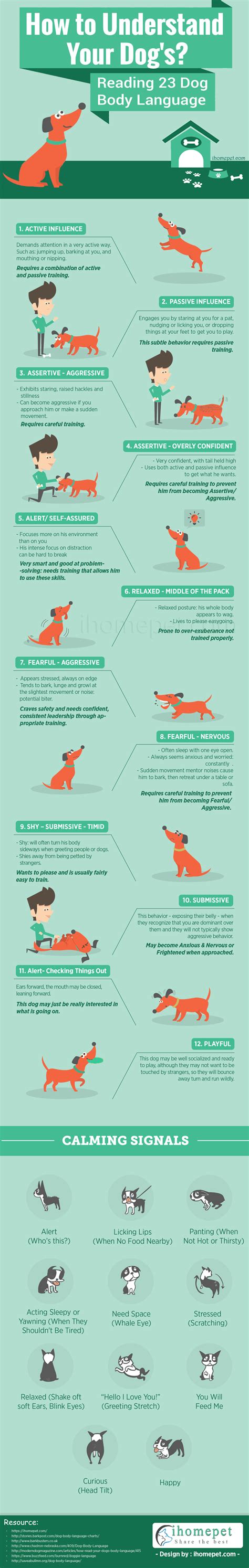 Understand Your Dog Read 23 Dog Body Language Cues Infographic