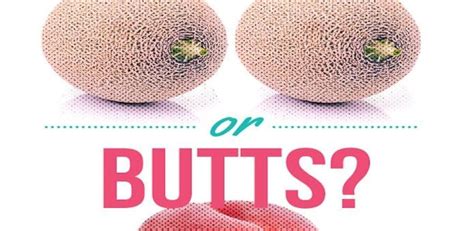 Pornhubs Boobs Vs Butt Search Insights Throws Up Unexpected Result