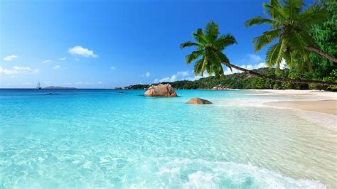 Hd Wallpaper Vacation Sandy Beach Water Crystal Clear Palm Chevalier Bay Wallpaper Flare