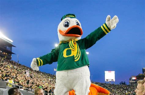 Ranking The 10 Best Dressed Mascots In College Football Aol News