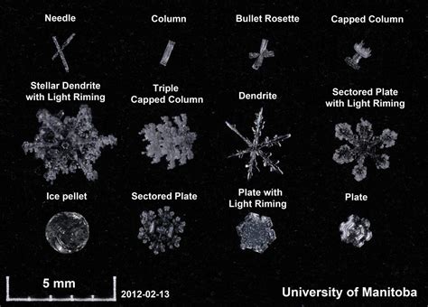 Image Of Different Types Of Snow Flakes Snowflake Images Snowflakes