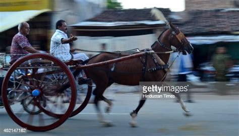 People Take Part In Horse Cart Racing Gehre Bazi On The Streets Of