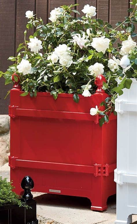 We did not find results for: Versailles Planter | Planters, Large plants, Citrus trees