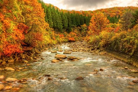 Rocky River In The Autumn Mountains