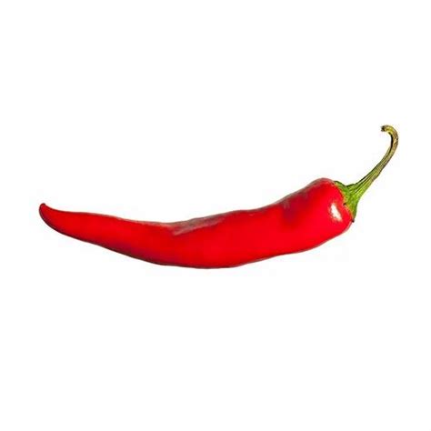 Organic Chilli At Best Price In Pune By Kitchen Garden Id 15855194197