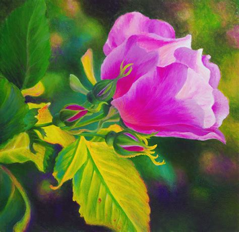 Paintings Of Pink Flowers Archives Judy Leila Schafers Fine Art