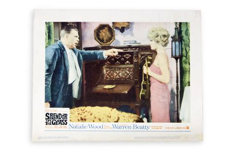 Poetic reflection is to be bound to past experience: Splendor in the Grass poster | Splendour in the grass, Entertaining, Polaroid film