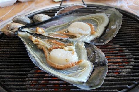 Clam Grilled Clams Seafood Free Photo On Pixabay Pixabay
