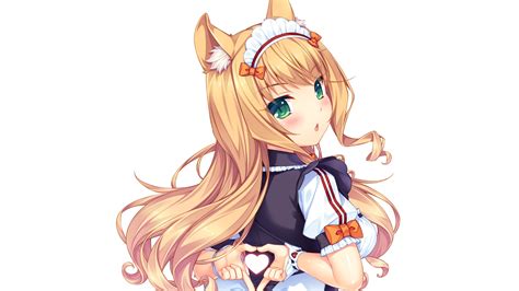 Download 1920x1080 Wallpaper Cat Anime Girl Nekopara