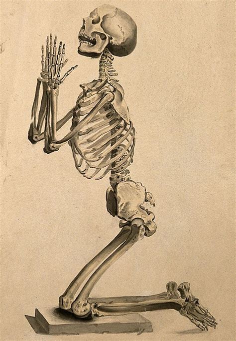 7 Excepcionales Ilustraciones De La Anatomía Humana De Intrépidos