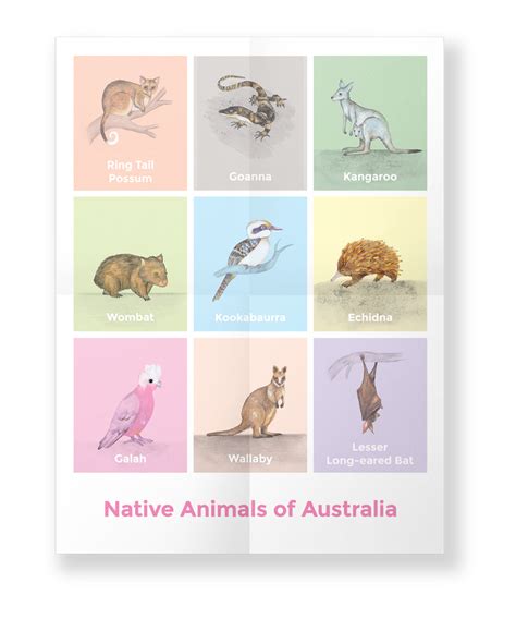 Native Animals Of Australia Hilary Faye Design