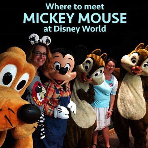 Where To Meet Mickey Mouse At Disney World