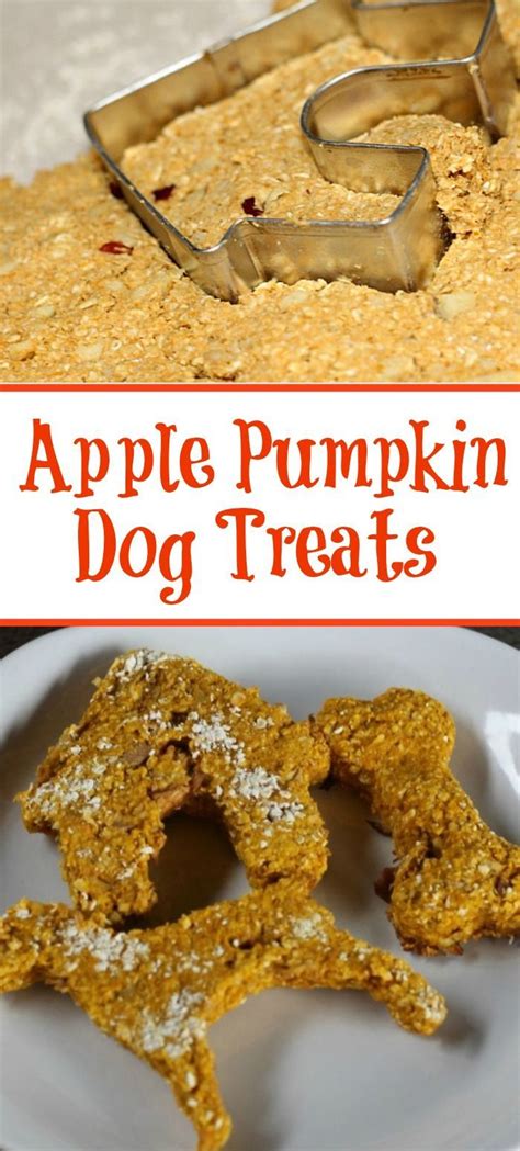Why make your own cat treats? Homemade Apple Pumpkin Dog Treats | Recipe | Dog treats ...