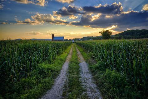 'Country Road' ~ Rural Missouri | Country roads, Country, Country scenes