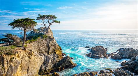 Monterey Carmel And The 17 Mile Drive Full Day Tour From San Francisco