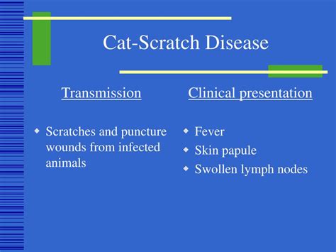 Ppt Zoonoses Powerpoint Presentation Free Download Id419542