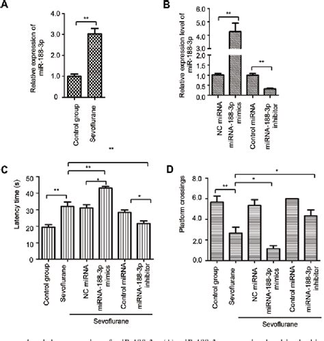 Figure 2 From Microrna 188 3p Is Involved In Sevoflurane Anesthesia Induced Neuroapoptosis By