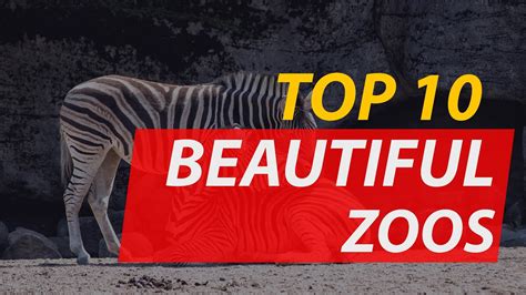 Top 10 Most Beautiful Zoos In The World Youtube