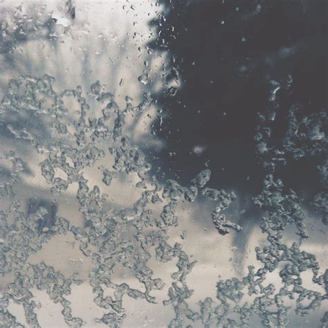 Snow. Love Hate Relationship - Kinetic Bear