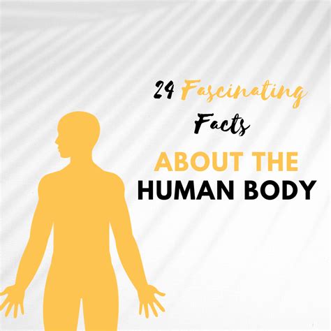 Human Body Facts These Interesting Facts About The Human Body Will