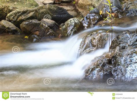Waterfall And Rocks Covered With Moss Stock Image Image Of Forest