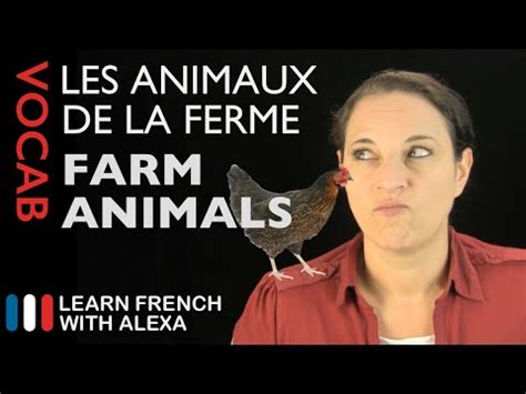 Farm Animals in French (basic French vocabulary from Learn French With ...