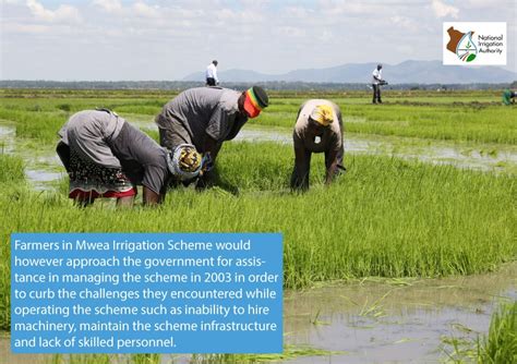 National Irrigation Authority On Twitter Since The Inception Of Mwea